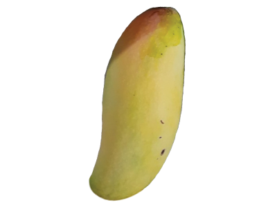 Maha Chanook Mango