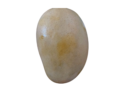 Kesar Mango