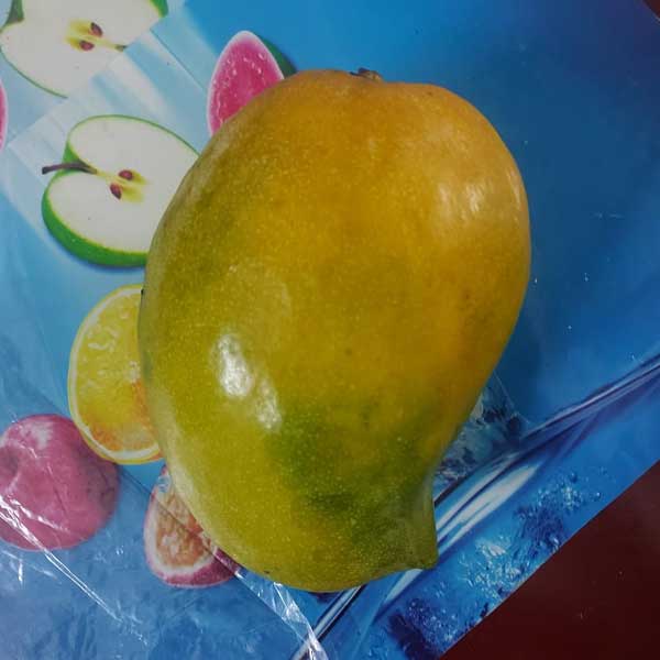 kosseri