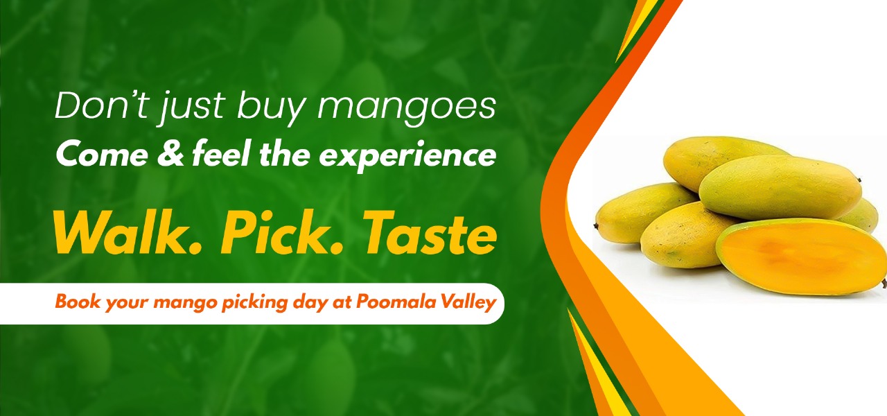Poomala Valley Mango Farm
